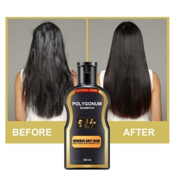 Hair Shampoo Permanent Black Color Anti Gray Hair Treatment White Removal Natural Herbal Black Hair Shampoo 1