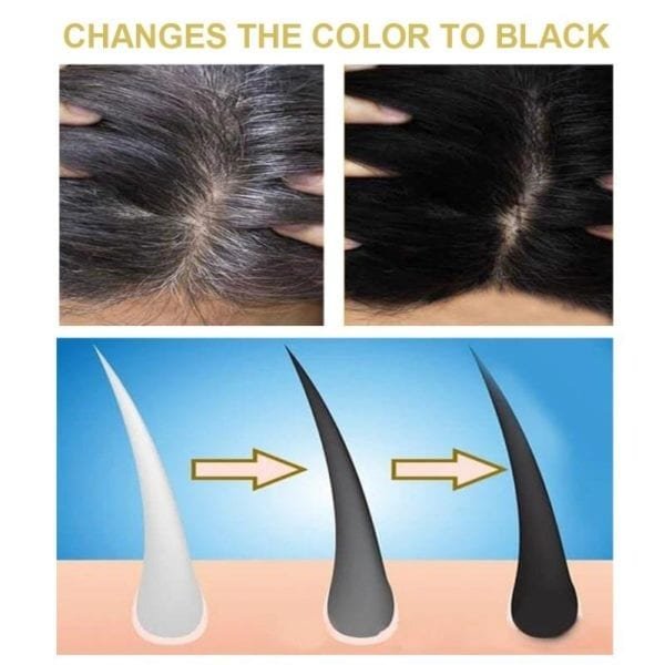 Hair Shampoo Permanent Black Color Anti Gray Hair Treatment White Removal Natural Herbal Black Hair Shampoo 5
