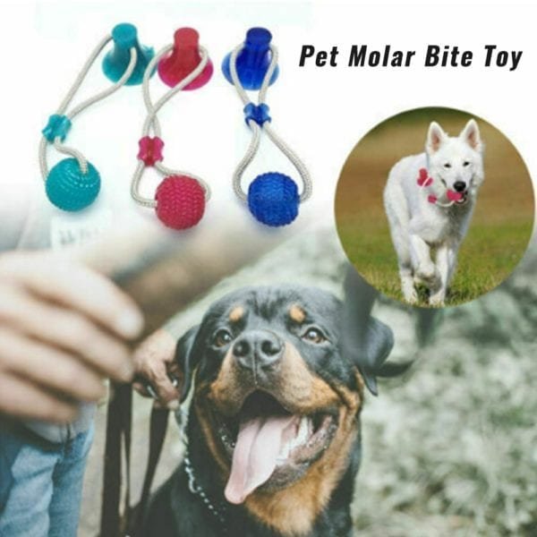 Pet Dog Toys Silicon Suction Cup Tug dog toy Dogs Push Ball Toy Pet Tooth Cleaning 1