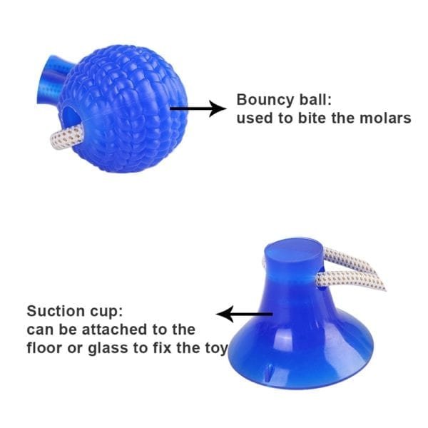Pet Dog Toys Silicon Suction Cup Tug dog toy Dogs Push Ball Toy Pet Tooth Cleaning 4