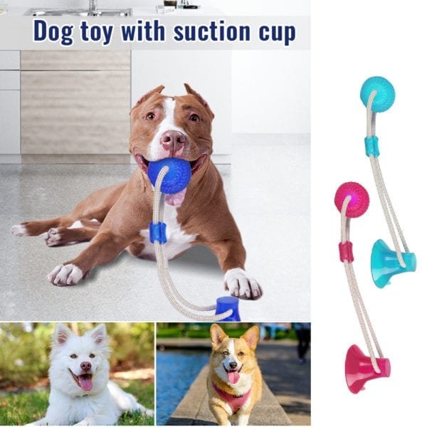 Pet Dog Toys Silicon Suction Cup Tug dog toy Dogs Push Ball Toy Pet Tooth Cleaning