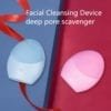 Electric Facial Spa Massager & Cleanser