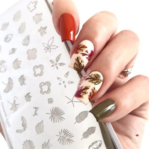 BORN PRETTY Overprint Flower Nail Stamping Plates Butterfly Leaves Series Nail Art DIY Printing Stamp Template 3