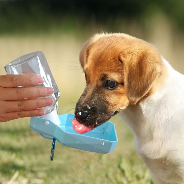 Portable Pet Dog Water Bottle For Dogs Cats Travel Puppy Drinking Bowl Outdoor Pets Water Feeder 4