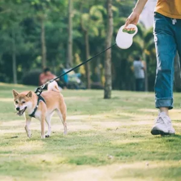 Xiaomi Jordan Judy Retractable Dog Leash 16ft Dog Traction Rope Pet Retractable Traction Rope Break Lock 4