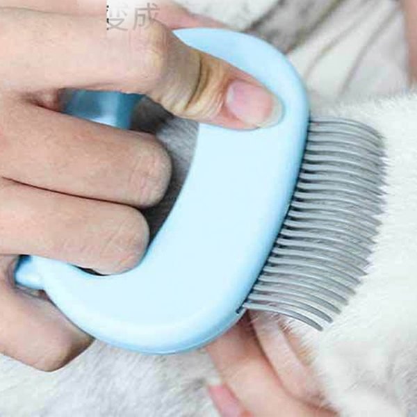 Durable Pet Massage Brush Shell Shaped Handle Pet Grooming Massage Tool To Remove Loose Hairs Only 5