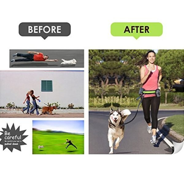 Hands Free Dog Leash Collar Pet Elastic Belt Running Dog Leash Set Hands Pet Accessories Puppy 1