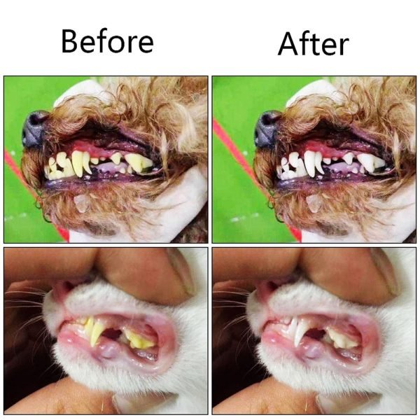 Hoomall Dog Pets Toothbrush Teeth Cleaning Three Head Dogs Toothbrush Non slip Handle Perfect Teeth Care 5