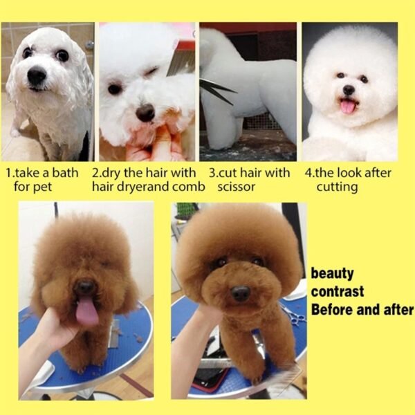 5pcs Stainless Steel Pet Dogs Grooming Scissors Cat Hair Thinning Shear Sharp Edge Scissors For Dogs 5