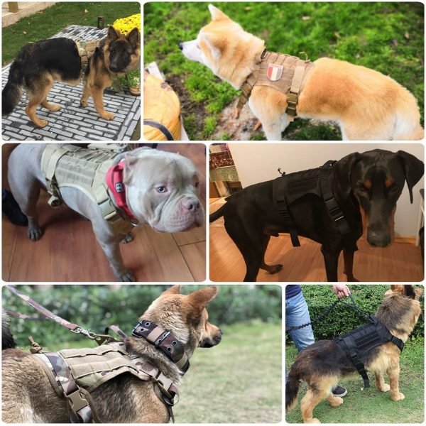 Military Tactical Dog Harness Front Clip Law Enforcement K9 Working Pet Dog Durable Vest For Small 5