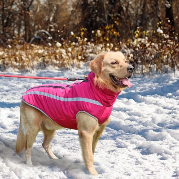 Winter Dog Clothes Coat Reflective Clothes for Big Dogs Pet Jacket Clothes Pet Clothing for Medium 1