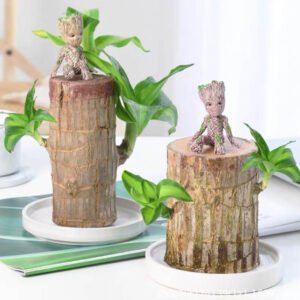 Baby Groot l Toy Tree Man Cute Model Toy Brazil Lucky Plant Mini Plant Indoor Office