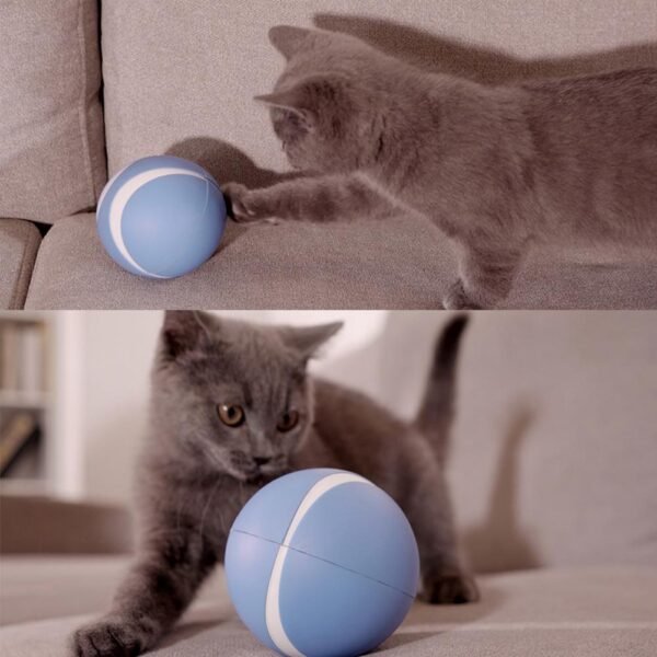 Upgrade Remote Control Cat Toys USB Electric Pet Interactive Ball LED Flashing Pet Ball Cats Dogs 4