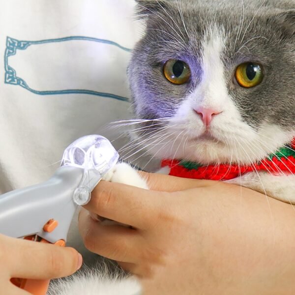 Professional Pet Nail Clipper Scissors Pet Dog Cat Nail Toe Claw Clippers Scissor LED Light Nail 1