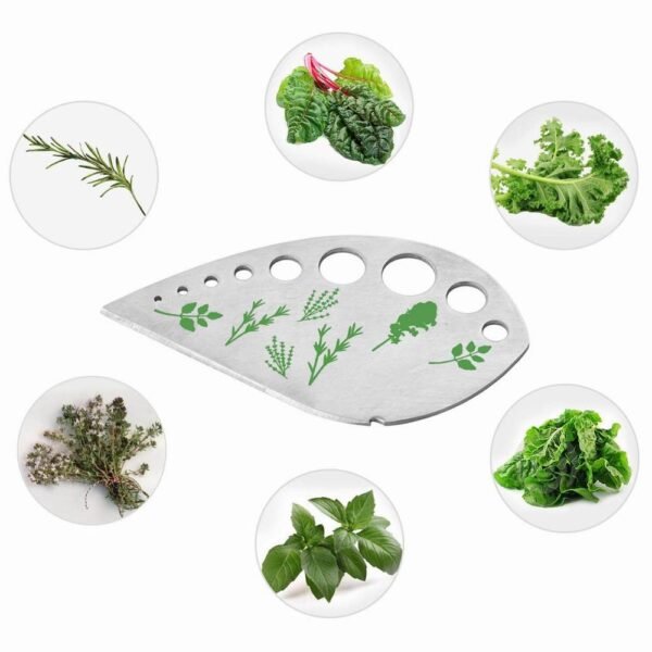 1 pc Vegetables Rosemary Thyme Cabbage Leaf Stripper Stainless Steel Herb Stripper Looseleaf Rosemary Kitchen Gadgets 4