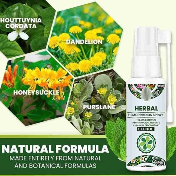 Chinese Herbal Anal Hemorrhoids Treatment Spray Crack Internal External Anal Fissure Painkiller Mild And Safe Health 5