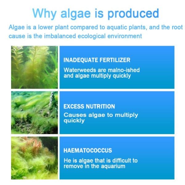 New All Purpose Cleaner Aquarium Algaecide Aquatic Algae Control Algae Detergent Purification Water Household Cleaning Chemicals 5