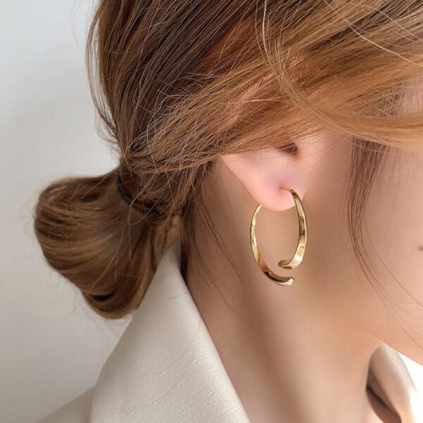 2021 Trendy Simple Geometric Irregular Metal Earrings For Women Girl Gold Color Circle Hoop Statement Earrings 1