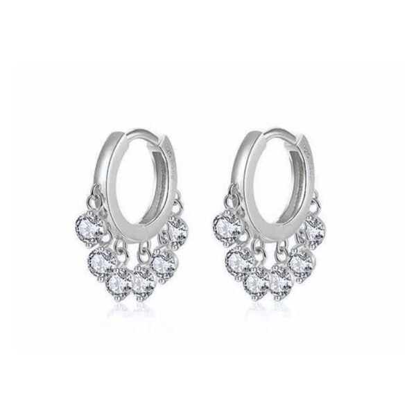 European and American Fashion Zircon Tassel Earrings for Women 925 Sterling Silver Ear Buckle Small Hoop 2