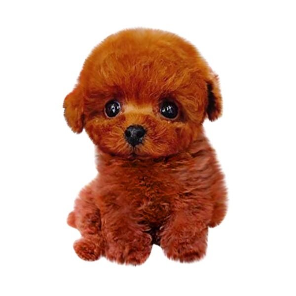 Realistic Teddy Dog Lucky Handmade Realistic Figure Toy Dog Plush Stuffed Anim 5
