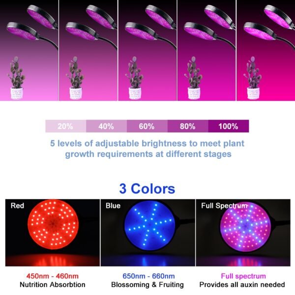 5V USB Phyto Lamp Grow Light LED Full Spectrum Light Plant Growing Lamp Fitolamp For Seedlings 3