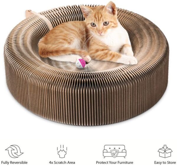 Pet Cat Scratcher Lounge Bed Collapsible Folding Corrugated Paper Deform Cat Scratch Board For Cat Bed